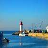 La Cotinière , le port se réveille 