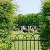 les vaches de la Ferme aux Charmes