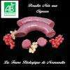 Savoureux boudin noir bio aux oignons a déguster sur un lit de pommes