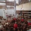 Abri en bois pour nos volailles, La Ferme Biologique du Grand Bois à Chassignolles (36)