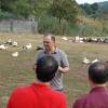Visite guidée de la Ferme de Las Crabères à L'Isle Jourdain (32)
