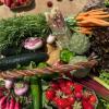 Légumes frais et de saison, toute l'année, à la Boutique de la Ferme du Loup Ravissant, à Bazainville (78)