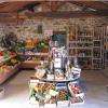 L'épicerie fine avec :
les produits du terroir,
fruits et légumes de saison
fromage, viandes, vins...