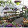 Serre de vente de la jardinerie où nous vendons en direct notre production de plants potagers, fleurs, arbustes...