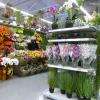 Rayon des fleurs artificielles
