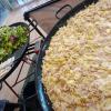 Tartiflette Traditionnelle 