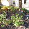 Le petit jardin aux herbes