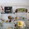 exposition 