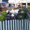 Vente directe à la ferme de légumes et fruits de saison à Vineuil, près de Blois (41) - Maison Marchand