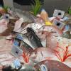 Poissons frais tous les jours, La Marée Montalbanaise, Poissonnerie Traiteur à Montauban (82000), Tarn et Garonne (82)
