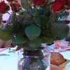 une rose pour chacune
