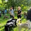 cours canin
