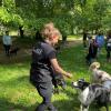 cours éducation canine