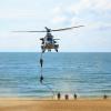 le caracal  crédit photo page Facebook Ville d'Anglet