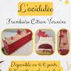 Bûche de Noël Framboise Citron Verveine