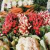 Légumes frais de saison : radis, choux fleurs, carottes, oignons 
de La Petite Jardinerie, producteur et primeur fruits et légumes à Romorantin Lanthenay (41200), Mur de Sologne et Vierzon.