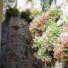 Rue du rocher