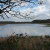 Etang de Theillay.