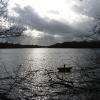 Etang de Meune.