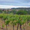Entre MER & GARRIGUE, le vignoble de la CLAPE.