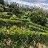 Crédit photo : page facebook, Labyrinthes Aux 1000 Fleurs