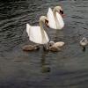 Promenade en famille