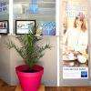 Agence Laforêt Bourg Saint Maurice - Transaction - 28 Avenue du Centenaire 