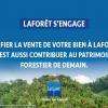 laforêt d'engage en 2020, comme l'an dernier à planter 30000 arbres