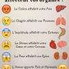 Voici comment vos émotions impactent sur vos organes!!