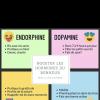 les hormones du bonheur