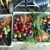 fruits et légumes sur commande à la ferme et au marché d'Espelette