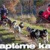 Baptême cani kart !