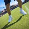 LTCDN - les courts en gazon naturel du Lawn Tennis Club