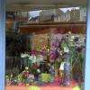 Vitrine du bleuet