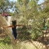 Parcours de filets dans les arbres parc de loisirs