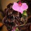 Salon de coiffure mixte dans le Centre Finistère pour toutes vos occasions.