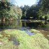 dans le jardin... La Vienne !