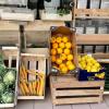 Légumes Bio, l'épicerie Le Comptoir de Chloé, Cosne d'Allier (03)