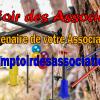 Le Comptoir des Associations, mon fournisseur de sarbacanes