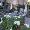 Terrasse et roses