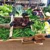 Légumes de producteurs, Le Garde-Manger des Hameaux, magasin de Producteurs à Magny les Hameaux, près de St Quentin en Yvelines (78)