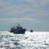 L'arrivée des bateaux de pécheurs.