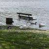 Avec toute cette pluie des derniers mois , le niveau du lac a sensiblement monté 