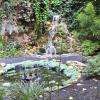 Jardin intérieur du restaurant Le Laumière