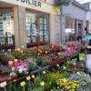 Un des merveilleux stands de fleurs du marché de Paimpol