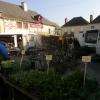 Quelques stands de fleurs , plantes et plants de légumes 