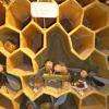 Des abeilles rigolotes pour expliquer la fabrication du miel.