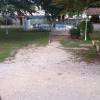 la cour