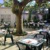 Aperçu de la Terrasse et de son platane centenaire !
