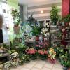 Boutique de fleurs Le Petit Mont Fleuri - Florajet, St Rémy des Monts (72600)